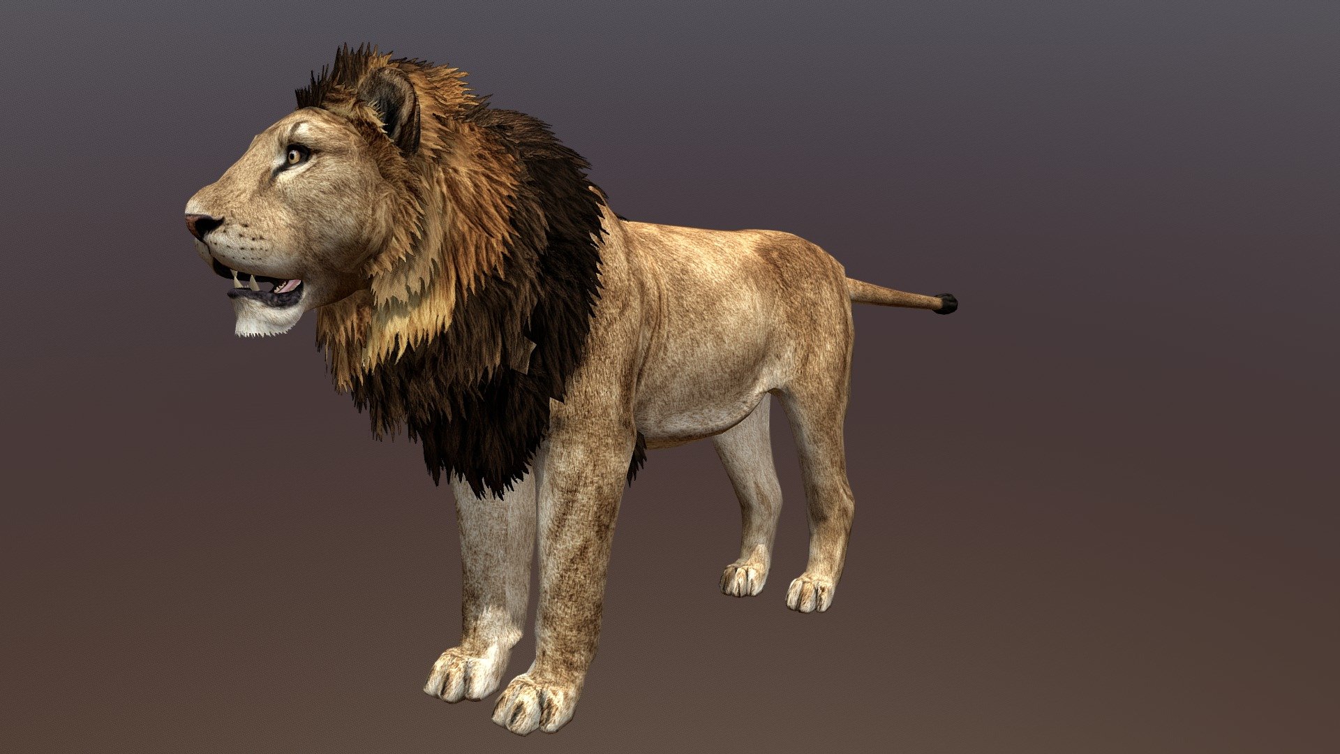 A fairly old lion model I made last year - Male Lion - 3D model by ultamateterex2 3d model