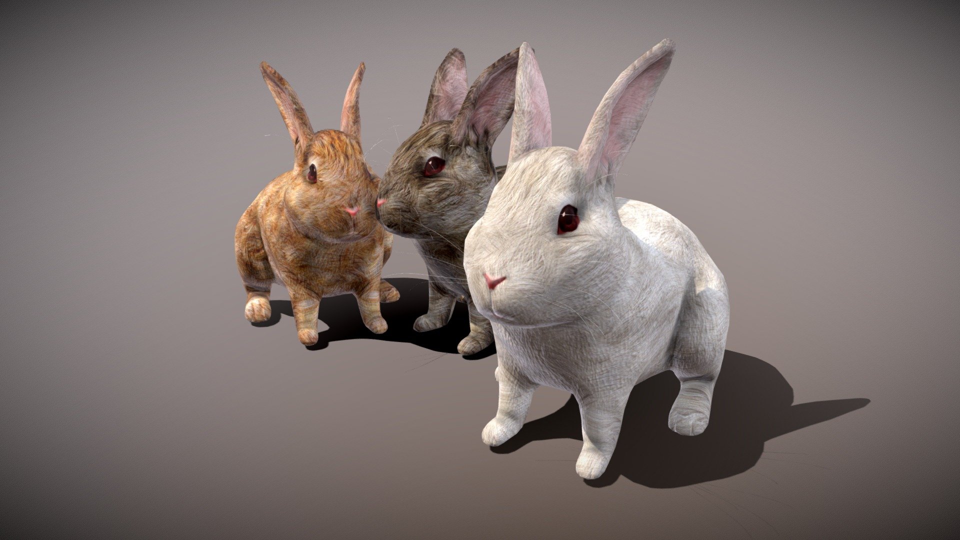 Doing a rabbit, there is material, have a normal map, binding, can do the animation, comparative fine texture is larger
= = = = = = = = = = = = = = = = = = = = = = = = = = = = = = = = = = = = = = = = = = = = = = = = 
Other works ~ welcome to visit my home page - Rabbit lovely rabbit three only - Buy Royalty Free 3D model by mpc199075 3d model