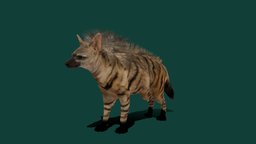 Aardwolf Hyena (Lowpoly) cute, animals, wild, mammal, zoo, nature, hyena, game-ready, wildlife, game-asset, aardwolf, animalia, pbr, lowpoly, creature, animation, wolf, hyaenidae, nyilonelycompany, noai, proteles-cristata