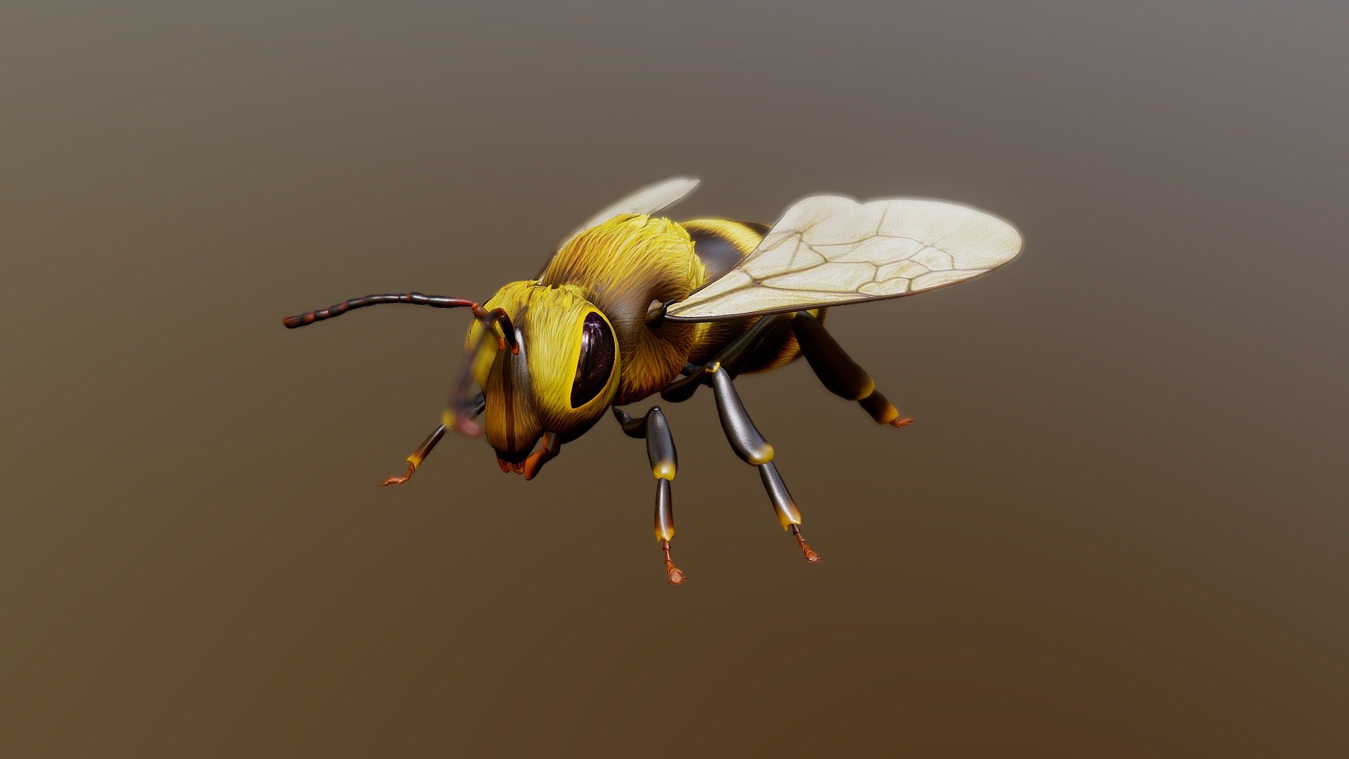 Bee - 3D model by zyhmjy1994 3d model