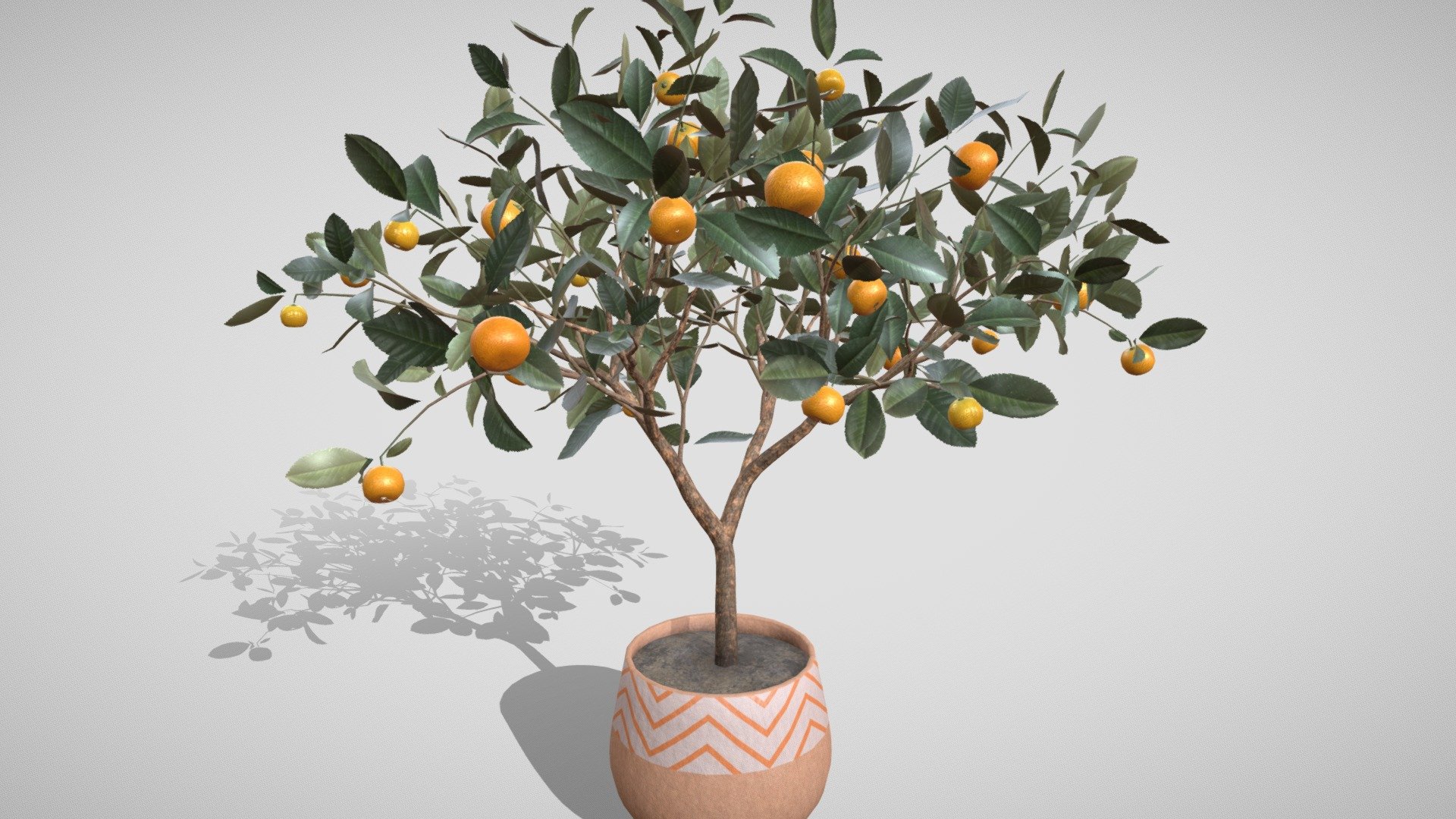 Detailed model of a mandarin tree with bright fruits.
A mandarin tree will be a unique decoration for the interior of an apartment, garden or street.

And also will add nature vibes to your 3D project, game or metaverse:)



Video about the model


Model info



quads clean topology, 18k faces

clean unwrapped UV

3 sets of texture maps in 4K and 2K resolution

3 materials

ready to use in blend and fbx format

Built with Blender. Origin Blender file attached


Thanks for watching^.^
Want to buy this model? Please tell me where you want to use it.

Have questions about the model? Mail me: tochechkavhoda@gmail.com - Mandarin tree in a pot (3D) - Buy Royalty Free 3D model by tochechka 3d model