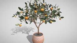 Mandarin tree in a pot (3D) tree, plant, fruit, pot, orange, detailed, realistic, nature, citrus, tangerine, mandarin, houseplant, pottedplant, 3d, model, leaves, interior