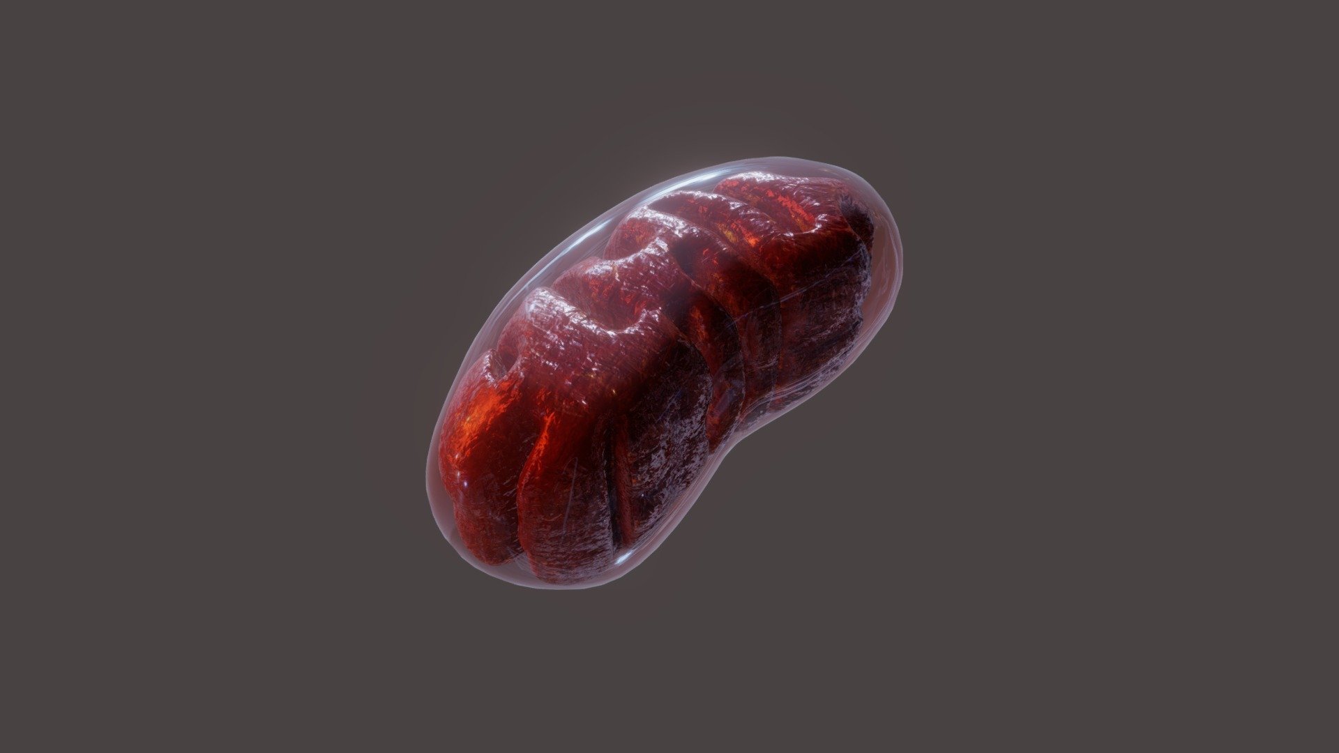 The Mitochondrion - 3D model by XReady Lab (@xreadylab) 3d model