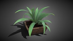 Potted Plant potted