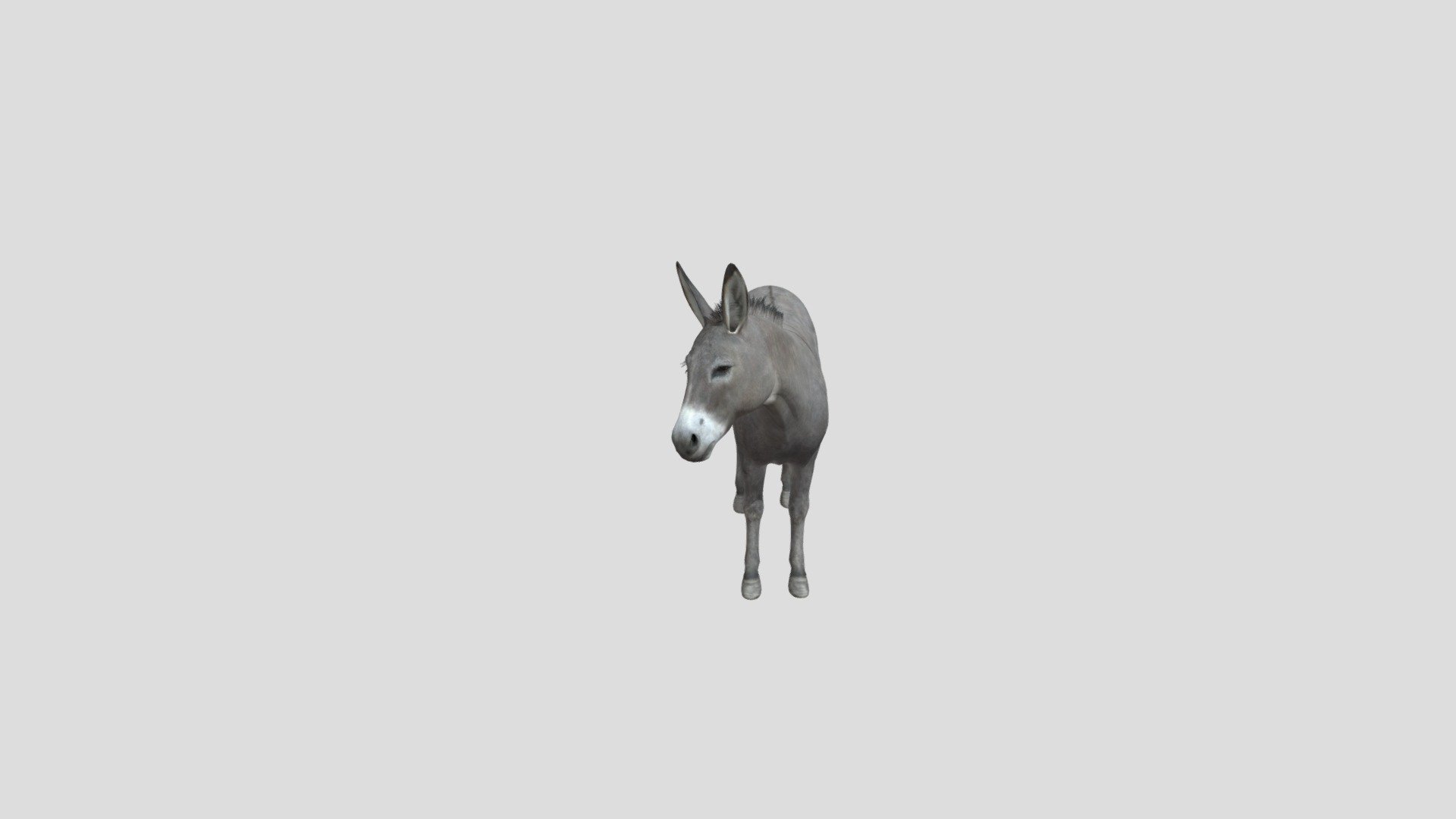 realistic animal donkey zoo animated - Donkey - Buy Royalty Free 3D model by Phil3D (@philosophie) 3d model