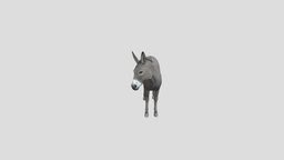 Donkey donkey, zoo, realistic, animal, animated