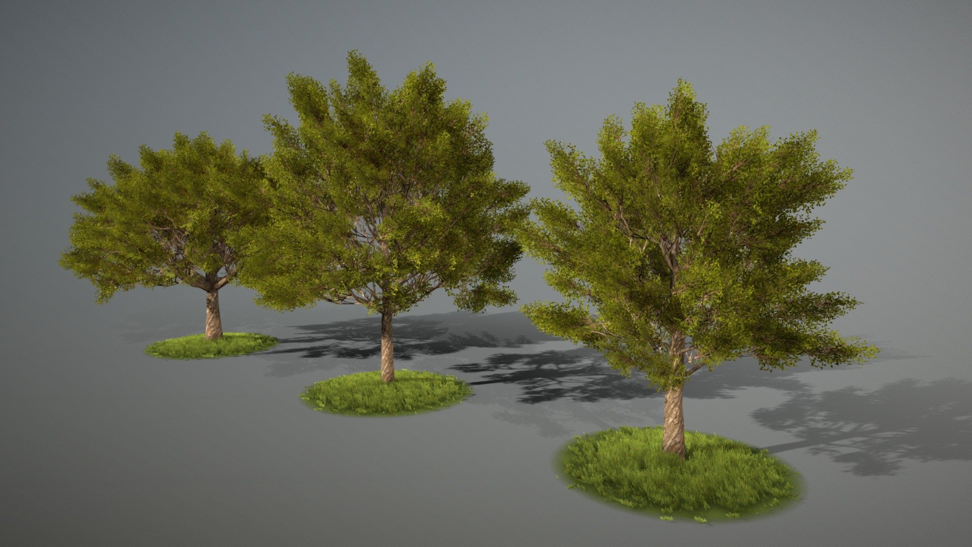 simple wind system based on two global bones - Tree wind system - Download Free 3D model by TechArtBGN 3d model