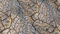 Light, dry, cracked clayey soil with plants floor, cracked, generated, soil, ia, texture, clayey