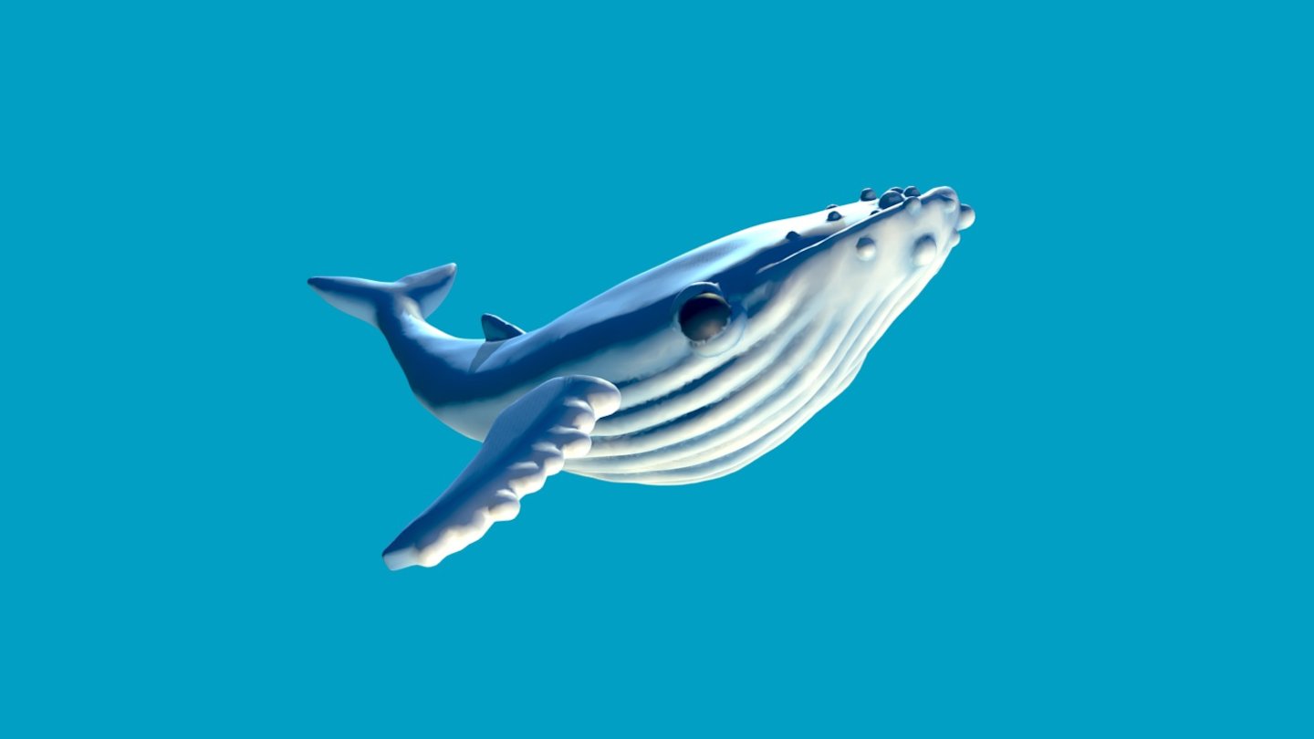 17th creation for the #3December challenge! Made with Oculus Medium. Polygon count reduced with MeshMixer. See you tomorrow for another animal! - Humpback Whale - 3D model by Antoine Bassin (@antoinebassin) 3d model
