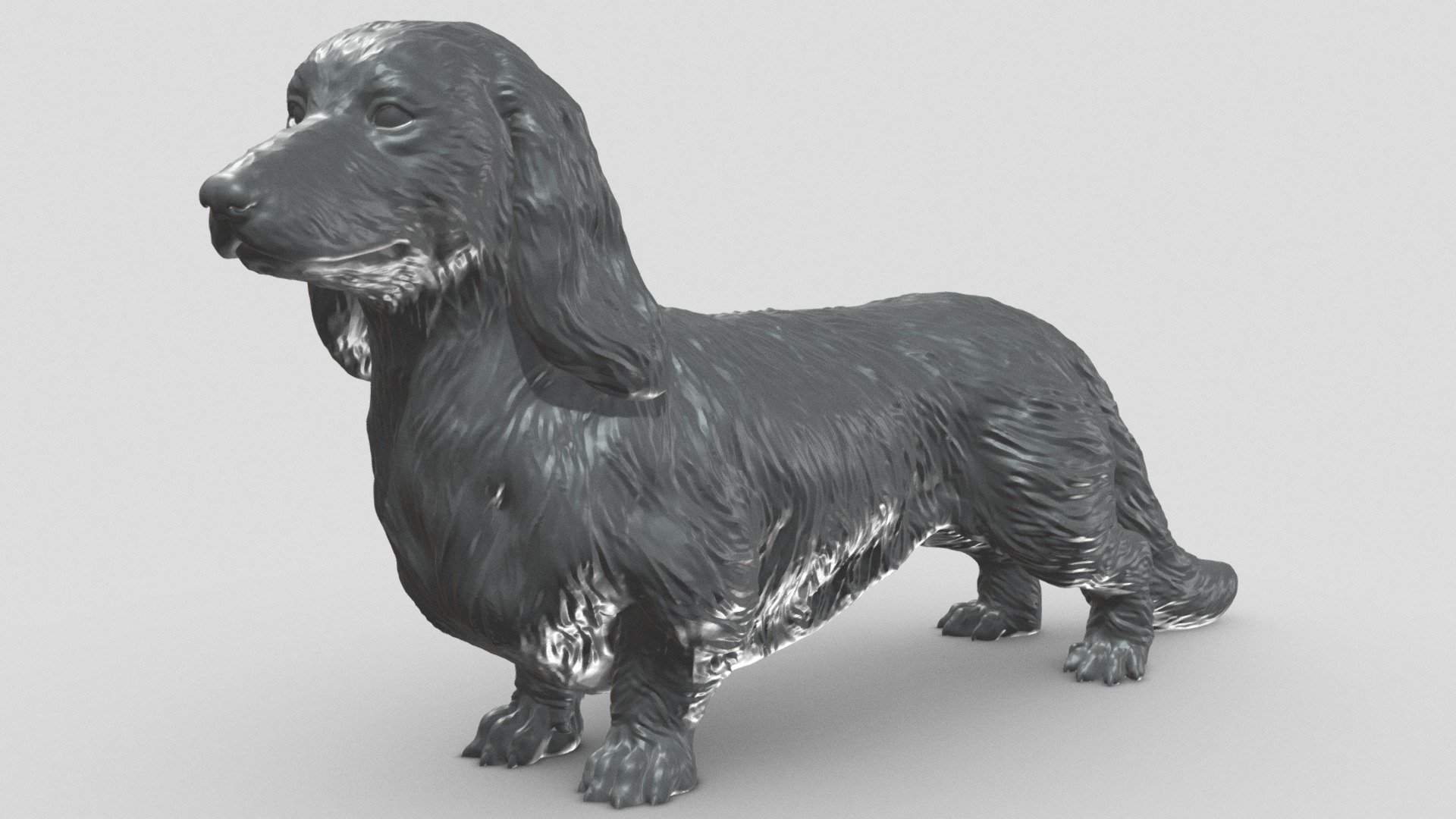Preview shows decimated version. Extra files included .STL format.

STL file checked by Netfabb

Model height 100 mm, but you can change the size you like

It is suitable for decorating your room or desk, and of course you can give it to your loved ones

I hope you like it and thanks for the support! - Long Haired Dachshund V1 3D print model - Buy Royalty Free 3D model by Peternak 3D (@peternak3d) 3d model