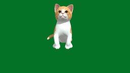 Kitten (Non-Commercial) cat, kitty, animals, kitten, nyi, nyilonelycompany, armyanmar, google3d
