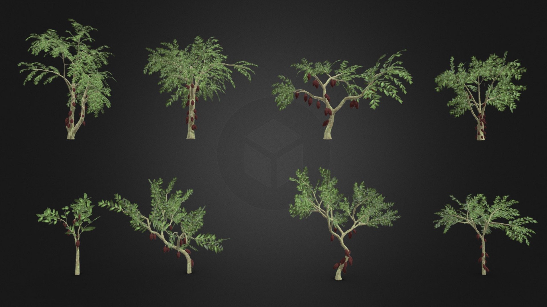 This is a 3D low poly model of a Cacao tree pack. This pack contains 4 models that you can use in your projects.

Info:

Theobroma cacao is a small evergreen tree in the family Malvaceae. Its seeds, cocoa beans, are used to make chocolate liquor, cocoa solids, cocoa butter, and chocolate. Native to the tropics of the Americas, the largest producer of cocoa beans in 2018 was Ivory Coast, at 2.2 million tons 3d model