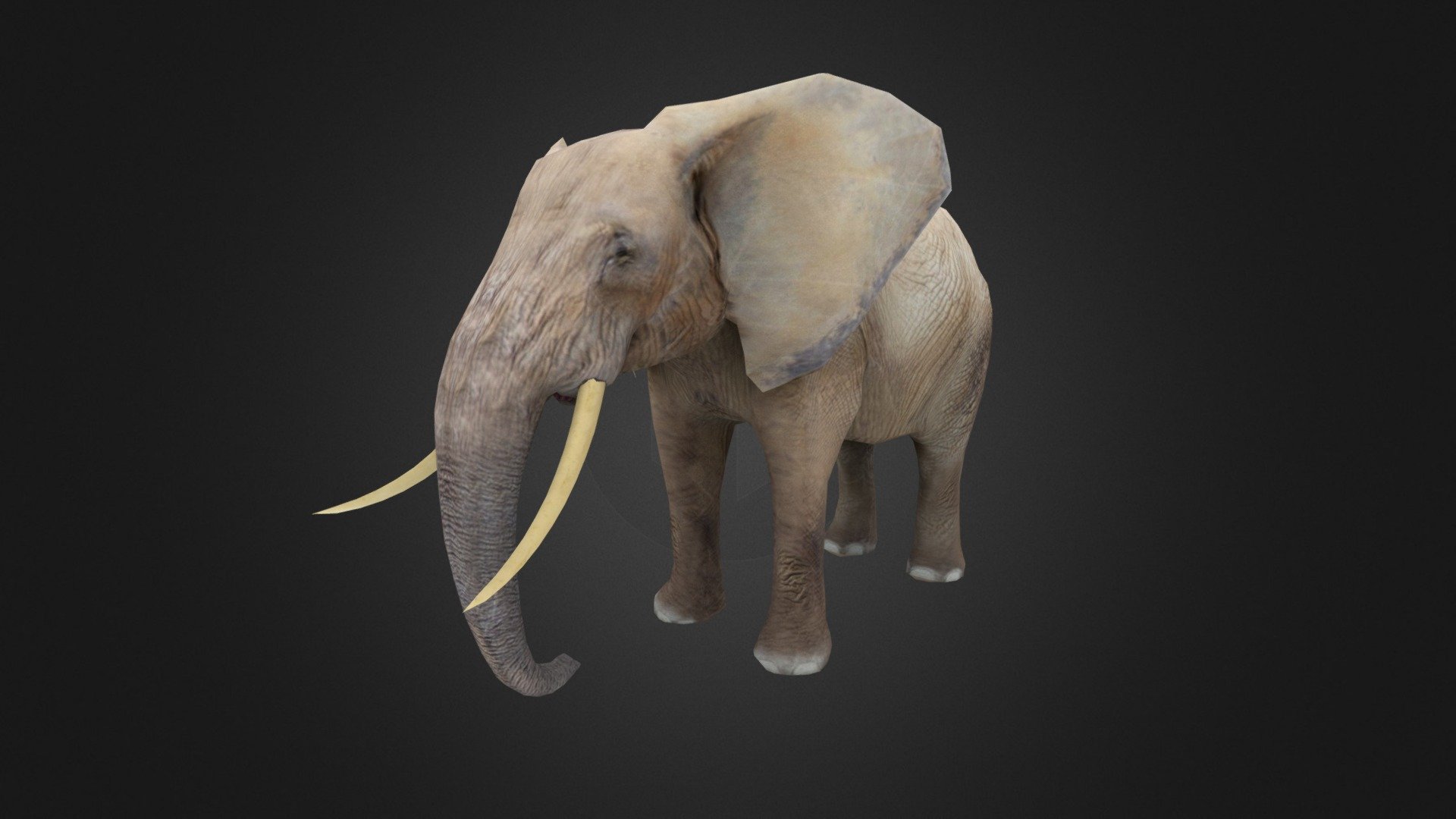 Elephant made for an augmented reality app 3d model