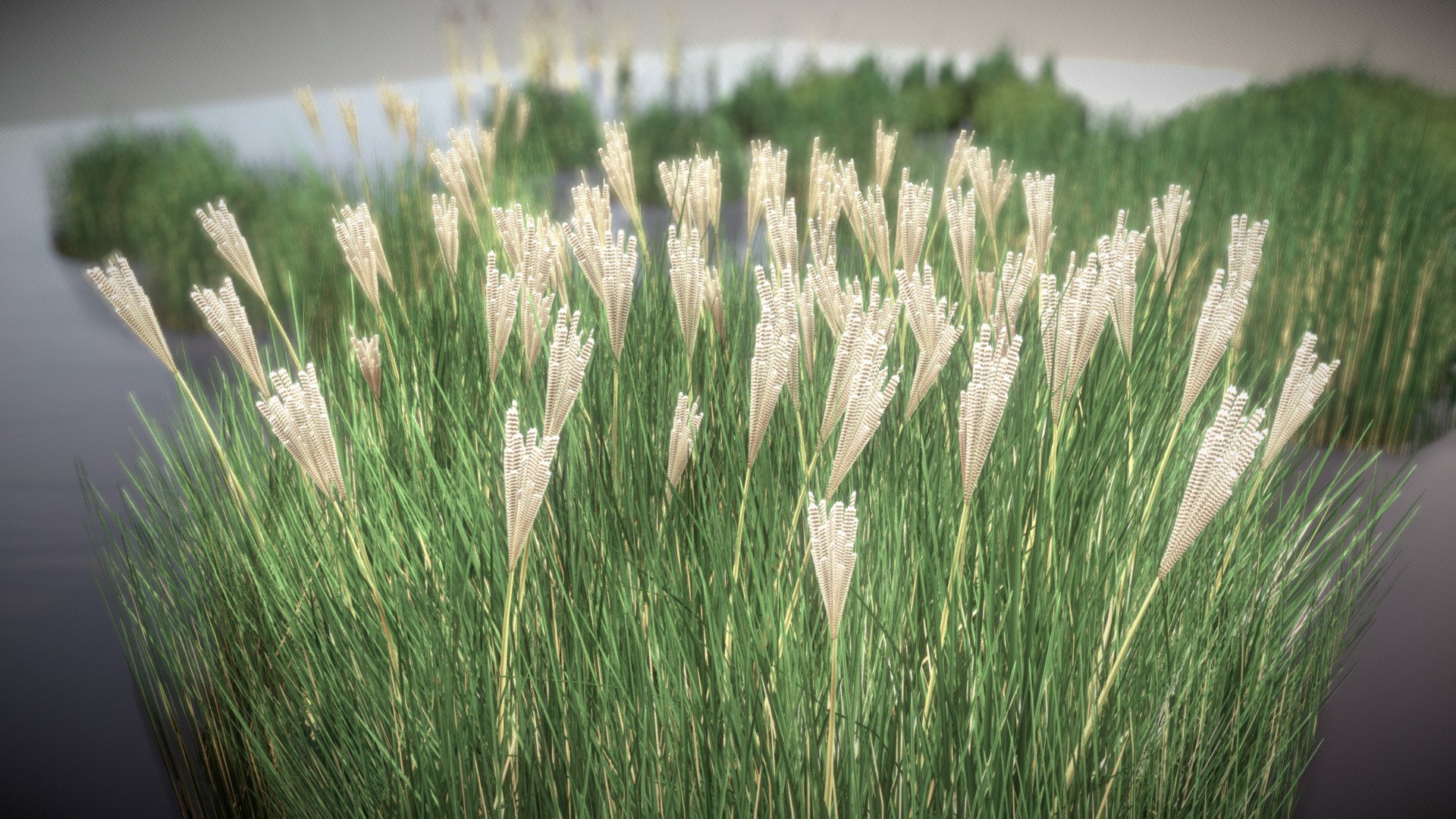 Reeds (Wip-3) - Reeds (Wip-3) - 3D model by VIS-All-3D (@VIS-All) 3d model