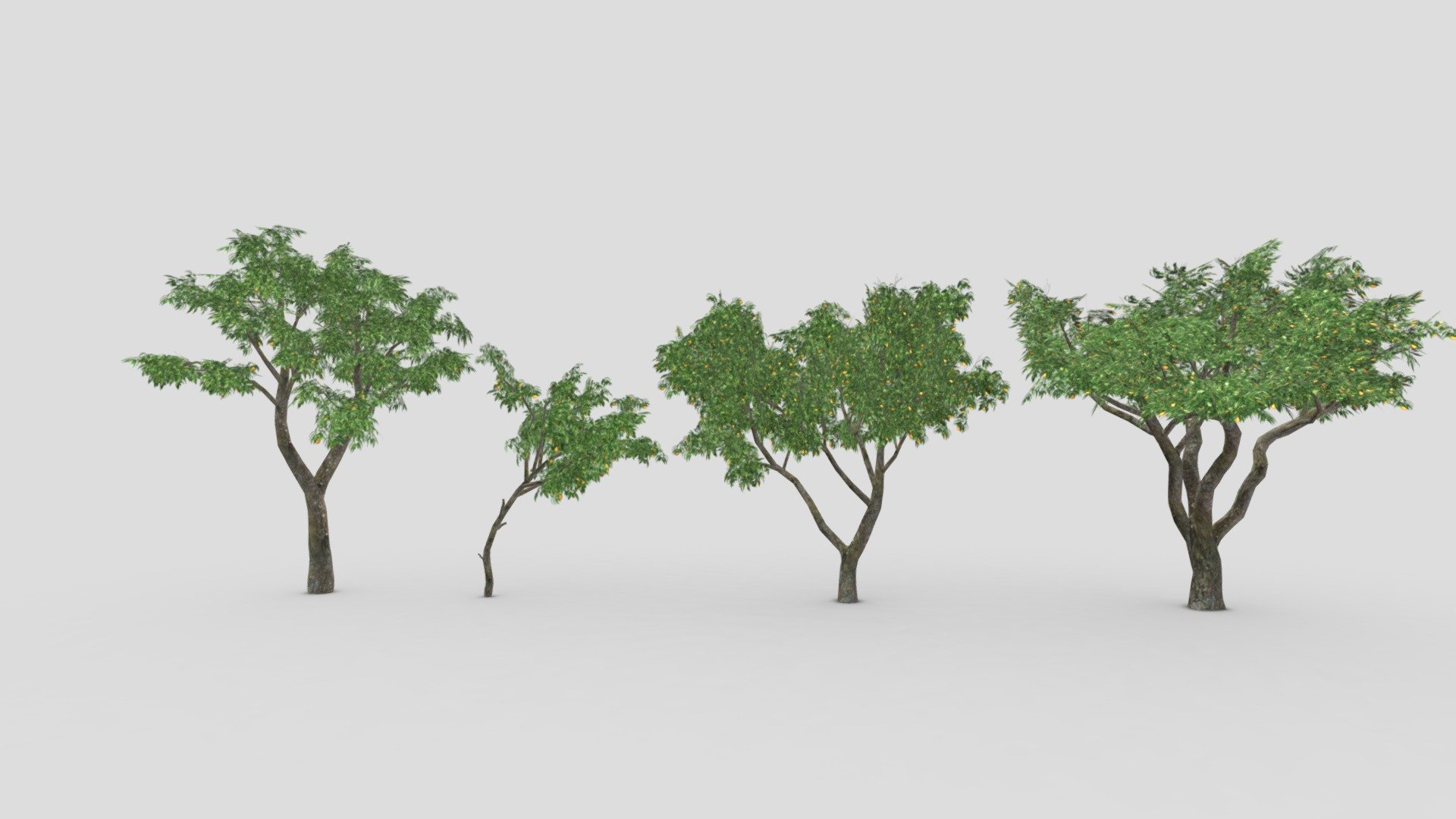 This collection contains 4 3D low-poly poly models of Orange Tree. You can use these models in your projects 3d model