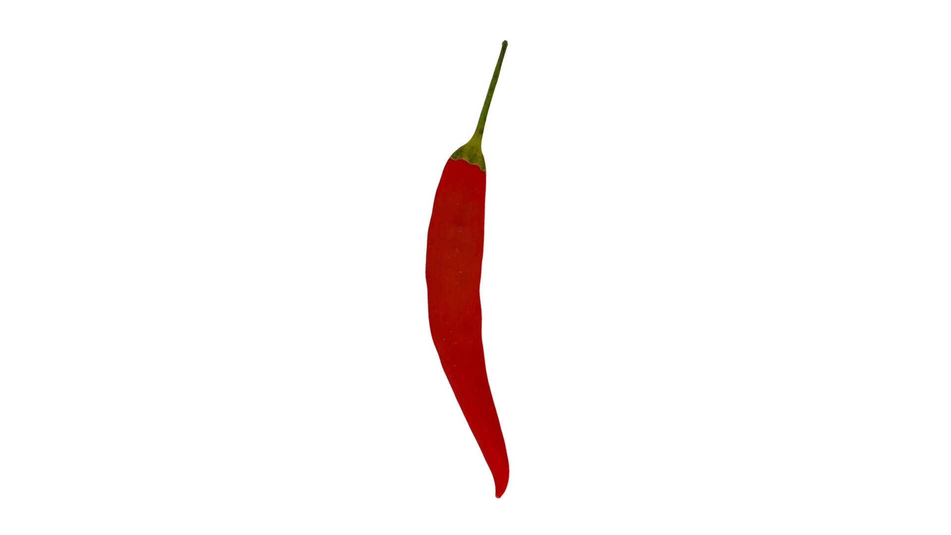 Highly detailed, photorealistic, 3d scanned model of a red chili. 8k textures maps, optimized topology and uv unwrapped.

Model shown here is lowpoly with diffuse map only and 4k texture size.

This model is available at www.thecreativecrops.com 3d model