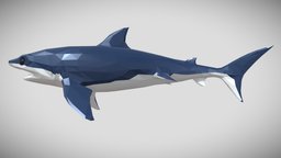 [Low Poly] Shark shark, fish, fishing, ocean, animals-cute, lowpoly, low, poly, animal, animation, animated, rigged, sea