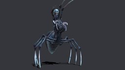 Arachne Animated greek, spider, creepy, myth, rig, arachne, woman, animation, monster, animated, mythcreature-animated