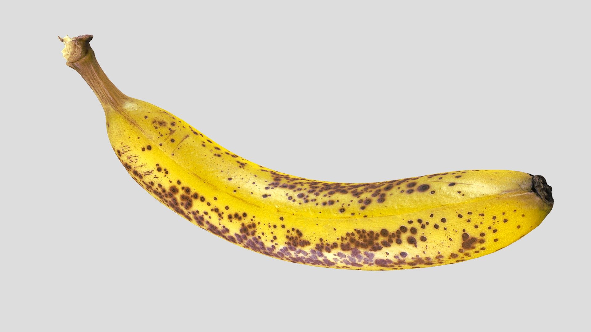 An annotated Banana scan.
Covered with more than brown spots.
What do you see? - Really Ripe Banana - Buy Royalty Free 3D model by nash808 3d model