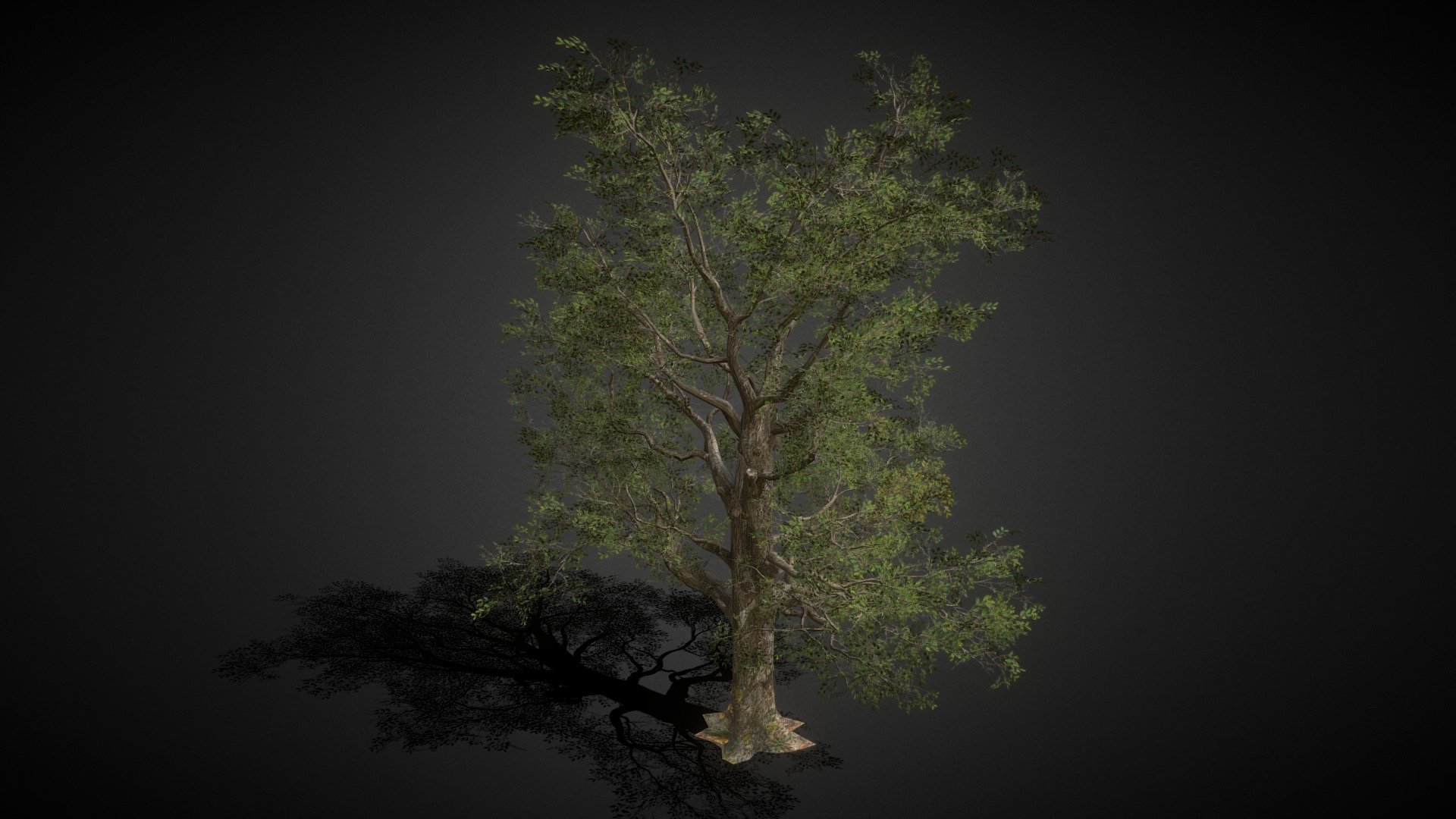 Big Tree 01 is a game ready tree asset. The attributes are given below




Game ready

Fully textures

Can use in any exterior scene

Good for urban and rural scene creation

low poly asset

I hope you all will like it. Please use it in your project. it will give me new motivation - Big Tree 01 - Buy Royalty Free 3D model by Md Waziullah Apu (@ApuArt) 3d model