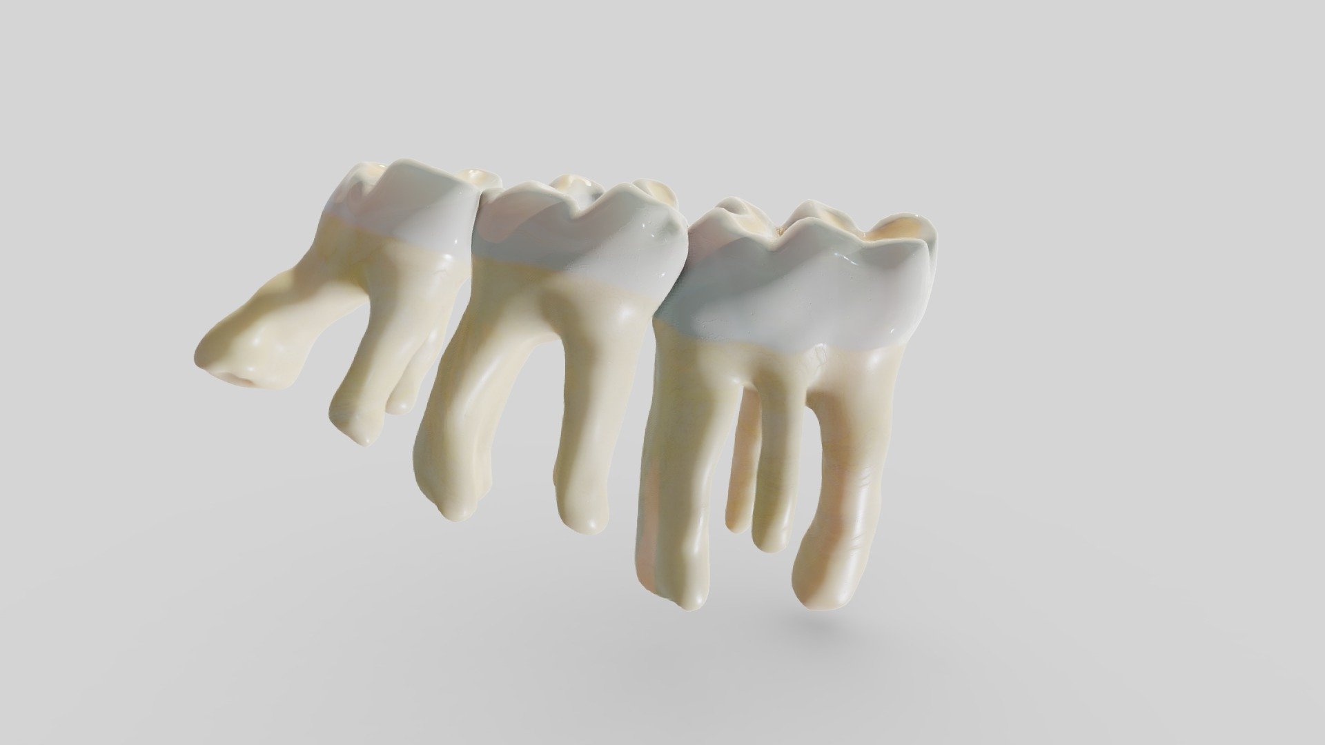 Working on the anatomical rat again. These are the lower molars from the right jaw 3d model