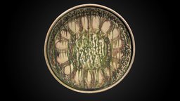 Dish with Sgraffito Decoration