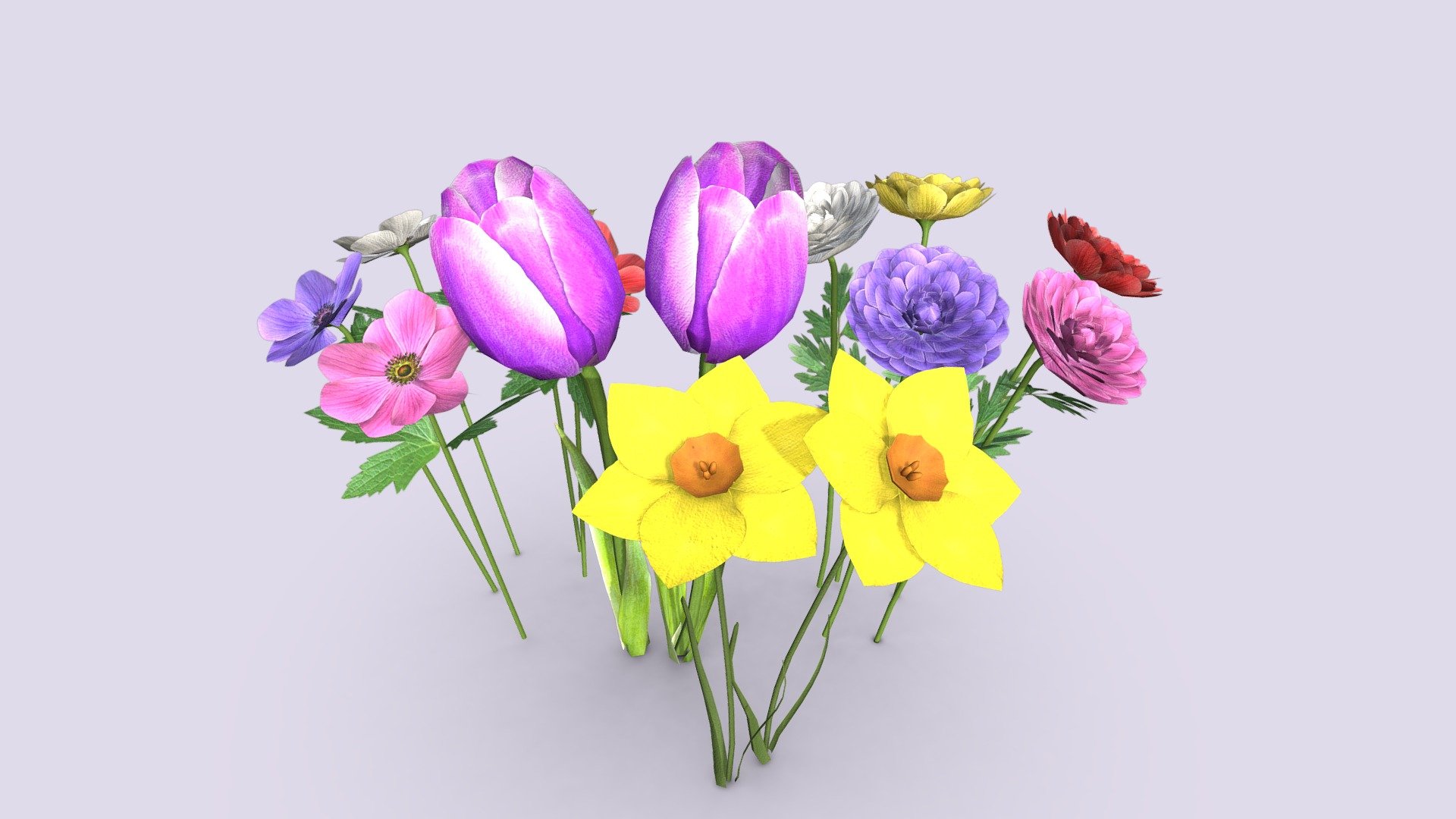 Low poly generic pack of flowers – includes tulip, narcissus, ranunculus &amp; anemone - Low poly flowers pack game ready - Buy Royalty Free 3D model by assetfactory 3d model