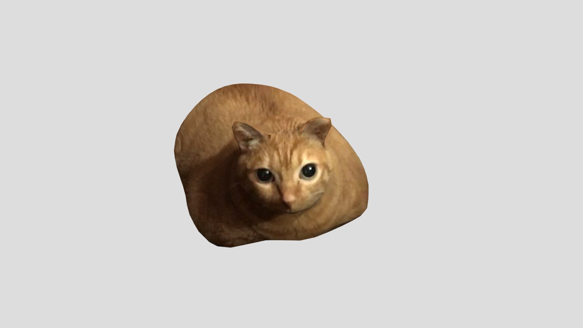 garfield you fat cat you are so big and fat why are you so fat

vid about making this on youtube: https://youtu.be/2zk9UDkNHKc

upd: shoutout to Pablo The Race Cat - THE CHONKER (gwa gwa cat) - Download Free 3D model by bean(alwayshasbean) (@alwayshasbean) 3d model