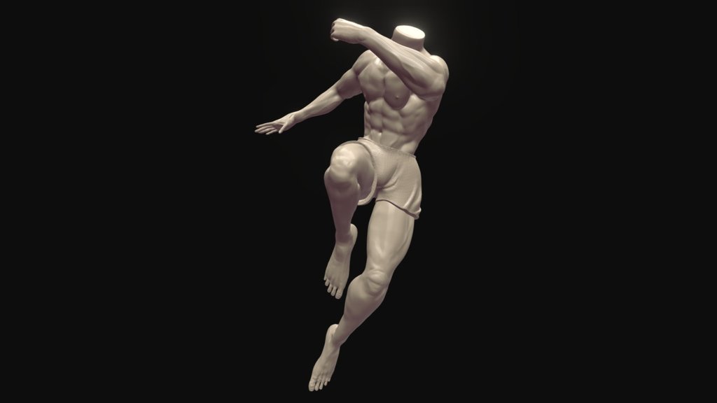 Anatomy In Action - Study #01 - Download Free 3D model by Raul Castillo (@shamysoza) 3d model