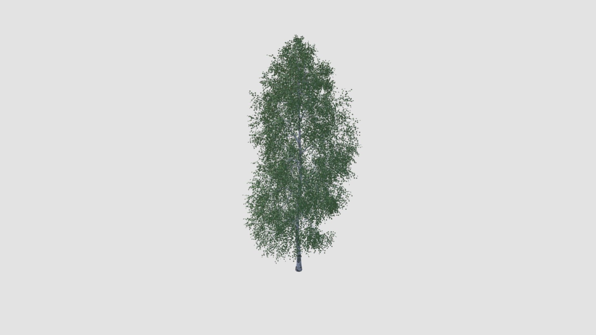 Highly detailed model of tree with textures, shaders and materials. It is ready to use, just put it into your scene 3d model