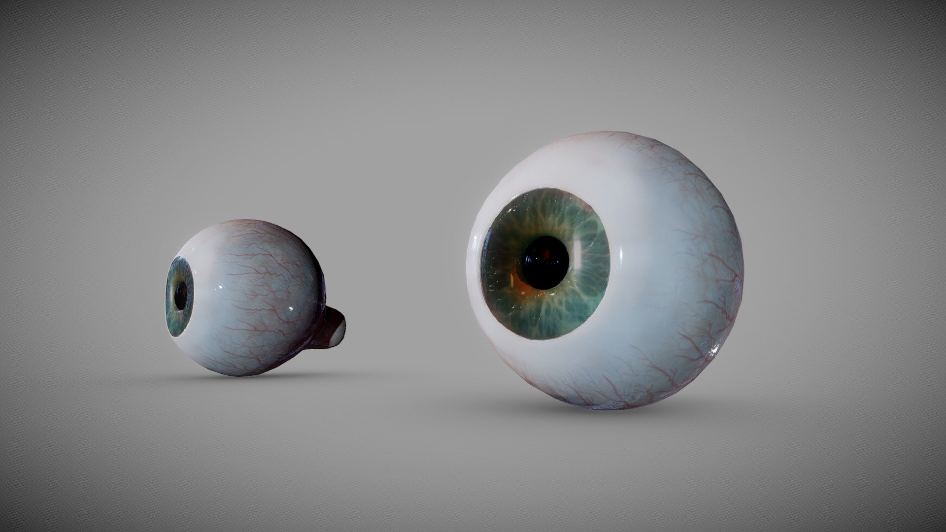 The human eye is a sensory organ, part of the sensory nervous system, that reacts to visible light and allows us to use visual information for various purposes including seeing things, keeping our balance, and maintaining circadian rhythm. Human eye 3d model
