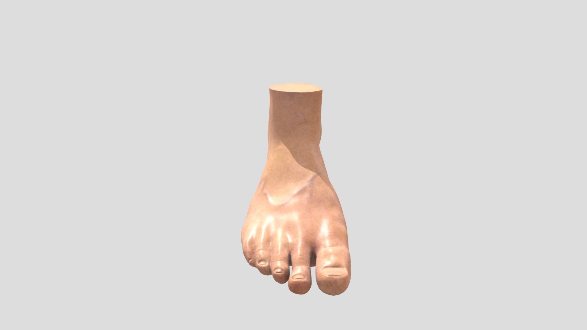 foot sculpt - 3D model by sxvva 3d model