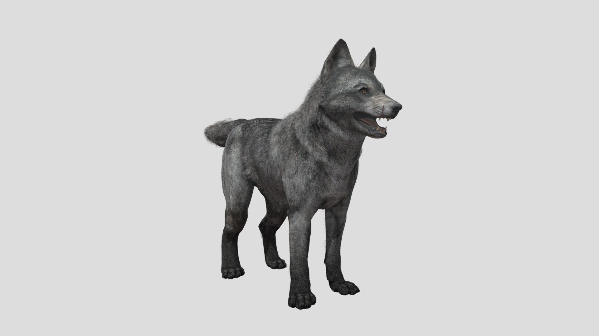 Fan-made Wolf pup version of the &ldquo;Wolf skin