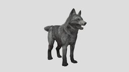 [Fan-made] COD: Ghosts Wolf Pup dog, animals, puppy, pup, canine, dogs, downloadable, cub, wolfcub, blender3dmodel, blender3dm, puppy-wolf, wolfpup