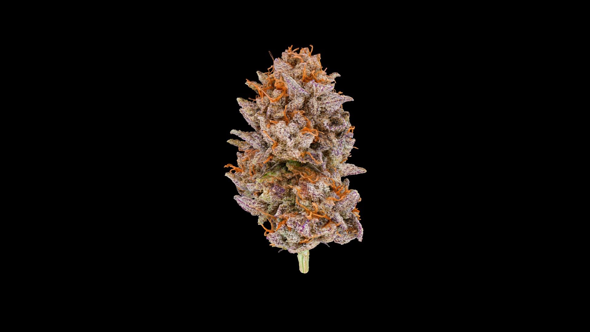 Cannabis bud, Peanut Butter Breath strain, created using photogrammetry. To be used as part of an NFT collection, and for demonstrating 3D cannabis menu capabilities.

Equipment used: Sony A7R IV, 3DS Max.

Not for sale 3d model