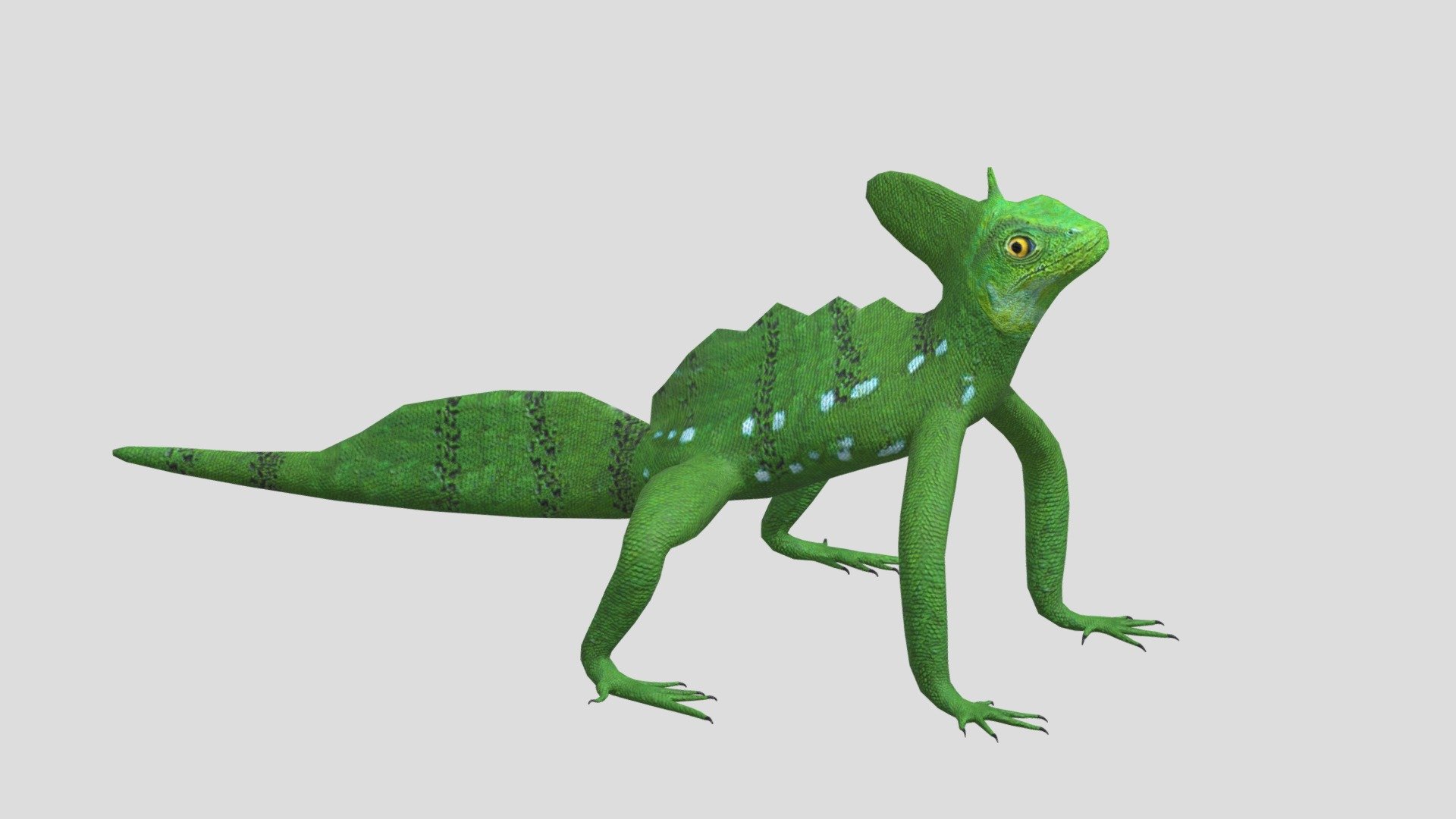 Digital 3d model of Basilisk Lizard.
The product includes:

-The model is one single object
-Textures JPEG- color,normal and roughness  maps
-Texture size 2048 x 2048 pxls.
- No special plugin needed to open scene 3d model