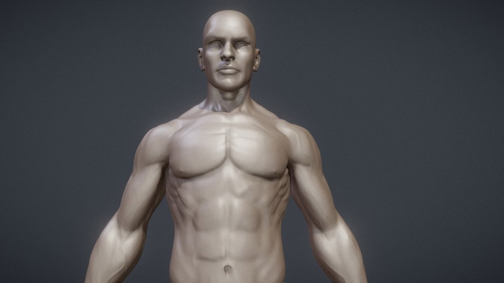 Male anatomy sculpt.  Done for testing, learning, teaching and general improvement.  Will be made available for print soon 3d model