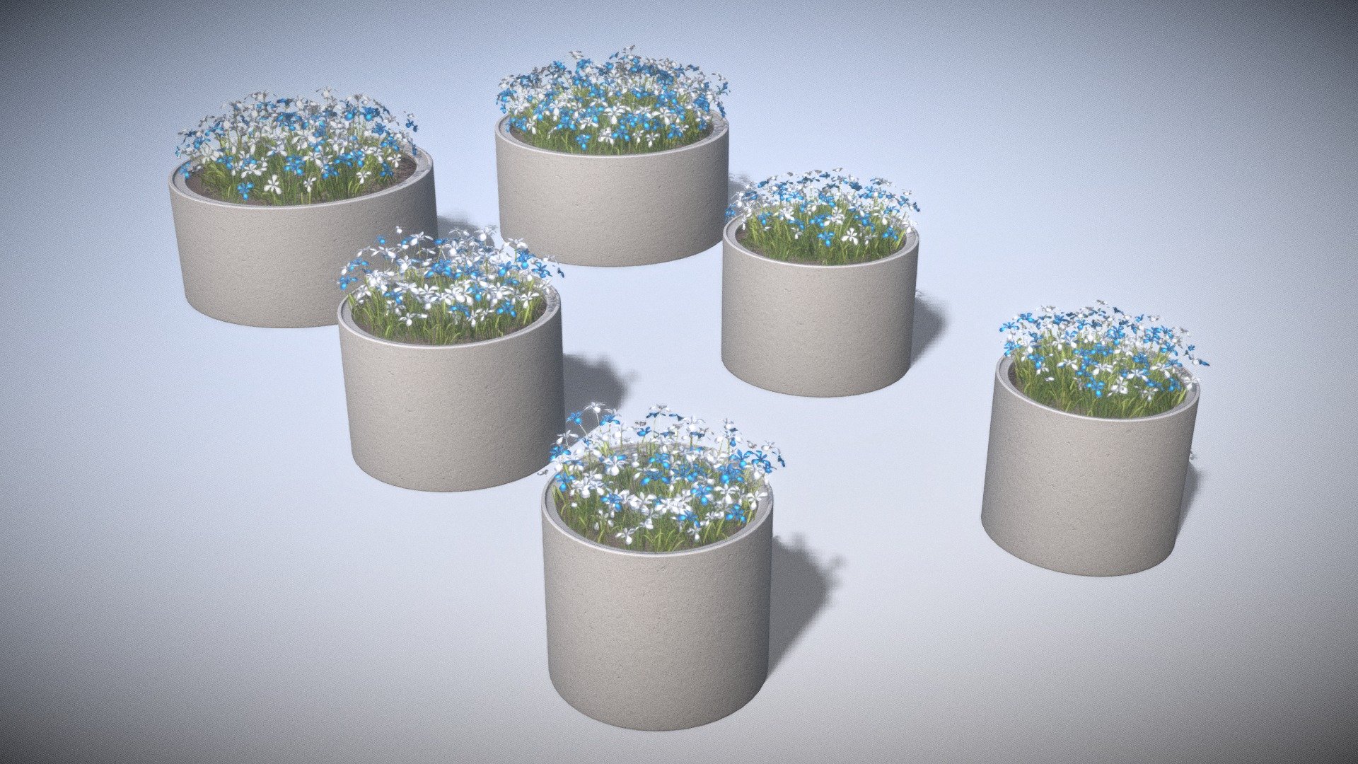 Some concrete pipe pots with blue and white mixed flowers.

Parts:

Object - Concrete_pot_800mm_White_Blue _Flowers_1 
Dimensions -  0.871m x 0.850m x 0.931m
Vertices = 6348
Polygons = 4237



Object - Concrete_pot_800mm_White_Blue _Flowers_2 
Dimensions -  0.865m x 0.812m x 0.956m
Vertices = 9589
Polygons = 5682



Object - Concrete_pot_1000mm_White_Blue _Flowers_1 
Dimensions -  1.038m x 1.018m x 0.977m
Vertices = 6388
Polygons = 4247



Object - Concrete_pot_1000mm_White_Blue _Flowers_2 
Dimensions -  1.014m x 1.021m x 0.978m
Vertices = 9669
Polygons = 5702



Object - Concrete_pot_1500mm_White_Blue _Flowers_1 
Dimensions -  1.500m x 1.500m x 1.102m
Vertices = 10580
Polygons = 6525



Object - Concrete_pot_1500mm_White_Blue _Flowers_2 
Dimensions -  1.549m x 1.526m x 1.140m
Vertices = 18053
Polygons = 10258

Modeled and textured by 3DHaupt in Blender-2.91 - Concrete Pipe Pots with Blue White Flowers - Buy Royalty Free 3D model by VIS-All-3D (@VIS-All) 3d model