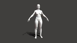 Female Basemeshes, low & high poly, rigged body, sculpt, base, anatomy, mesh, basemesh, sculpting, head, woman, beautiful, human-anatomy, basemash, base-mesh, female-anatomy, basemesh-female, character-base-mesh, character, low-poly, girl, blender, female, zbrush, rigged, low-poly-base, basemeshes, base-character, low-poly-basemesh, female-basemesh, human-body-base-mesh, low-poly-base-mesh, blender-base, rigged-base, rigged-basemesh, sculpting-base, girl-anatomy, female-base-mesh, woman-base, woman-base-mesh, woman-basemesh, "base-mesh-female"