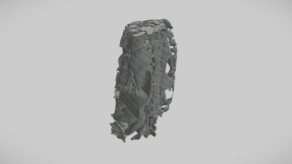 This is a model taken from anonymous medical scanning datasets 3d model