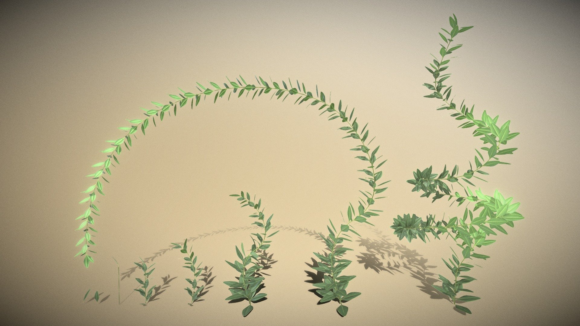 Just a boxwood branch test.


Boxwood Leaf Low-Poly Version (Polygons = 198)
Boxwood Leaf High-Poly Version (Polygons = 3382)
 - Boxwood Branch Test 1 - Buy Royalty Free 3D model by VIS-All-3D (@VIS-All) 3d model