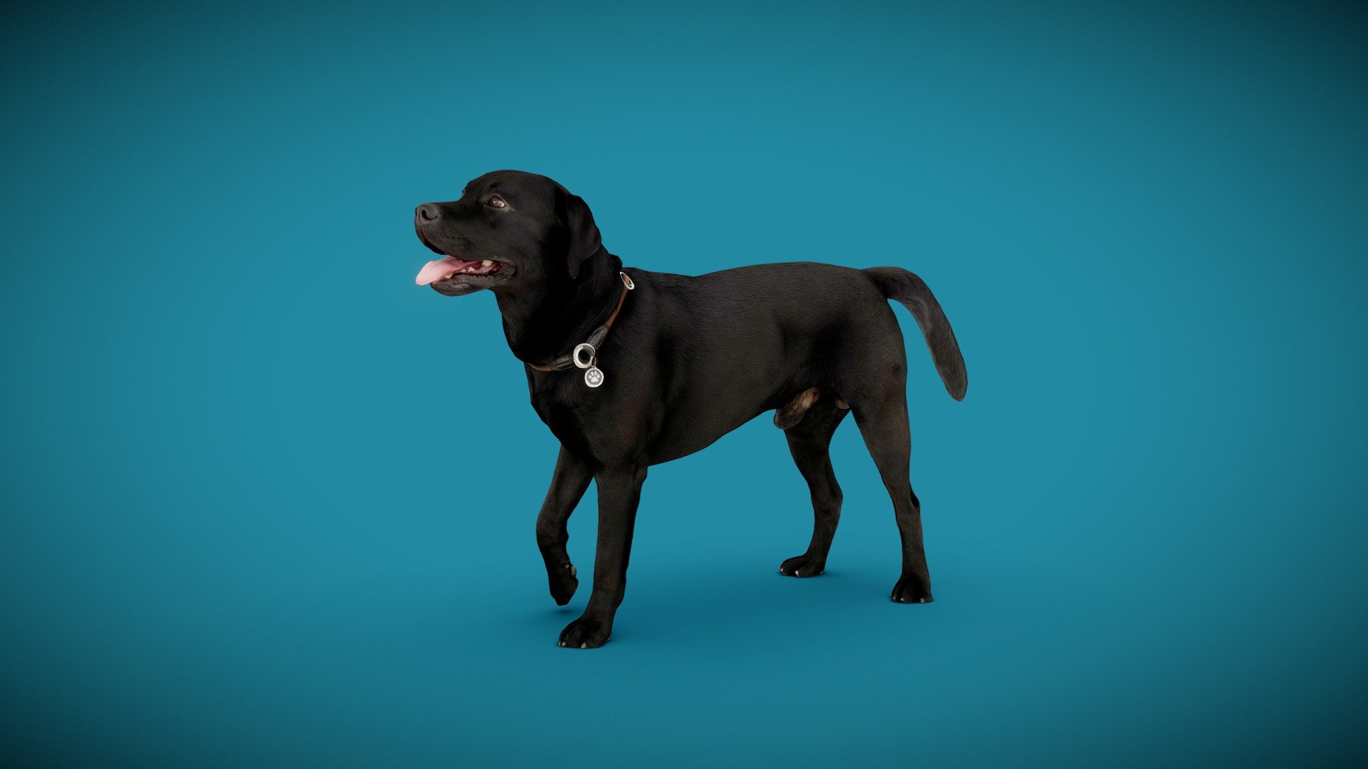 3d-dog-scan using photogrammetry technique // more poses and packages avaiable*


3D-Model approx. 50K triangles
4K DiffuseColorTexture
real scale
watertight

3d-ScanService: https://www.optimission.de

*
https://skfb.ly/o8q9P
https://skfb.ly/o8q9Q
https://skfb.ly/o8q9S - DOG A - 4of6 - Buy Royalty Free 3D model by Frank.Zwick (@Frank_Zwick) 3d model