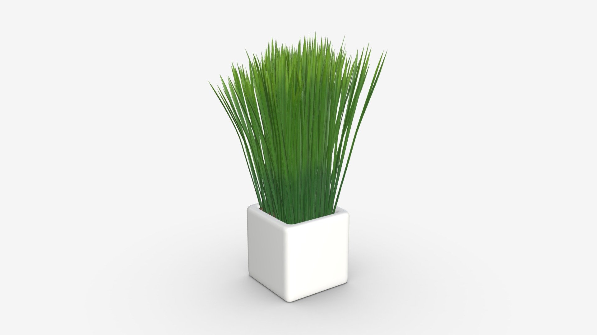 Decorative potted long grass - Buy Royalty Free 3D model by HQ3DMOD (@AivisAstics) 3d model