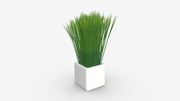 Decorative potted long grass plant, grass, flora, pot, garden, long, potted, artificial, fake, houseplant, 3d, pbr, interior