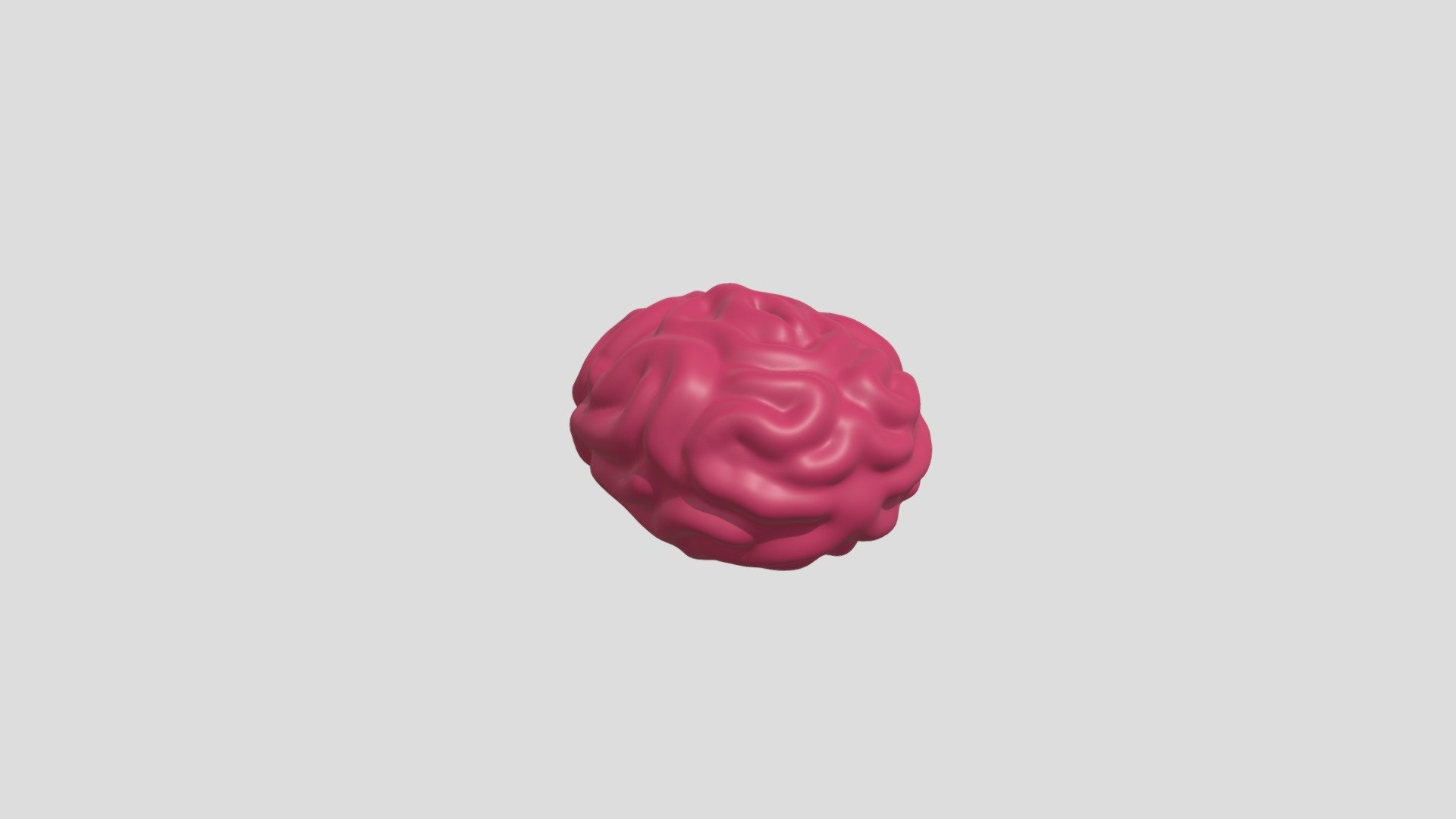 This is a simple model of a Brain I made 3d model