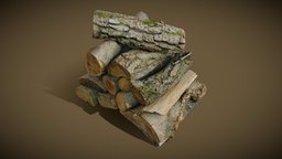 Stacked firewood saw, trees, tree, plant, forest, logs, log, 3d-scan, road, cut, trunk, bark, 3d-scanning, nature, fall, lumber, firewood, harvesting, megascan, photoscan, realitycapture, photogrammetry, scan, wood, textured, ue5