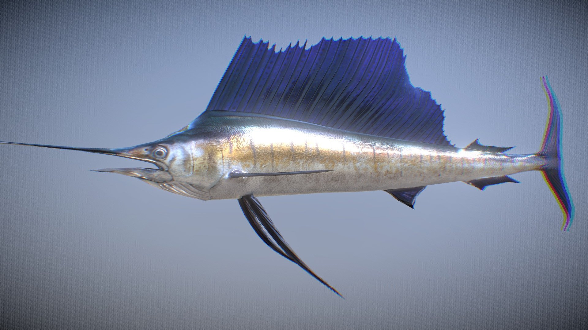 This model is a sailfish made for the game.

I'm tried to make the maximum expression with a small amount of polygon.

Enjoy it! - Pacific sailfish - 3D model by polygizer 3d model