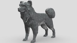 Papillon V3 3D print model stl, dog, pet, animals, figurine, 3dprinting, doge, 3dprint, dogstl, stldog