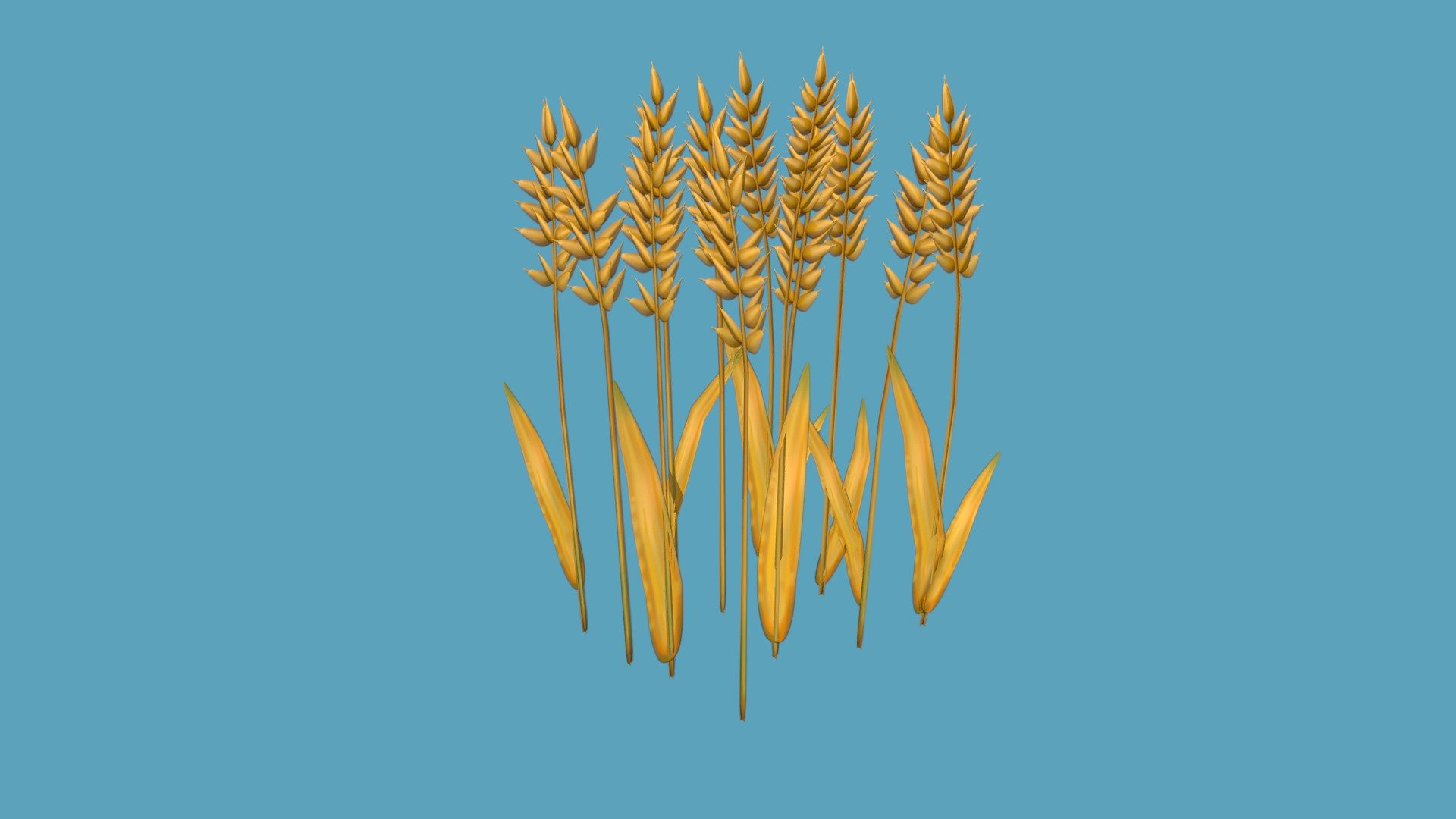 Wheat - Download Free 3D model by KillTheSaint 3d model