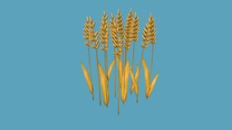 Wheat plant, cute, farm, vegetable, wheat, lowpoly